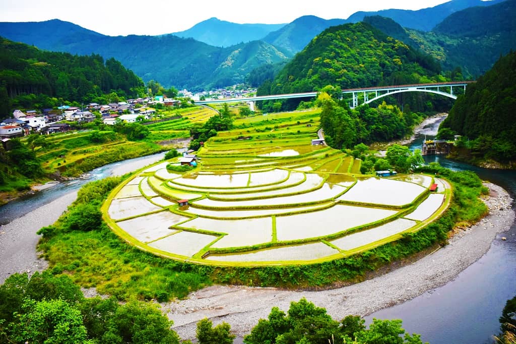 あらぎ島__棚田__写真